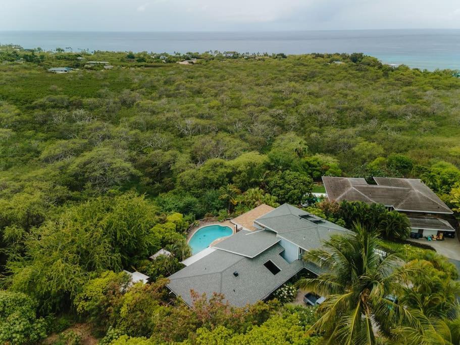 The Pohaku Studio At The Koi House カイルア・コナ エクステリア 写真
